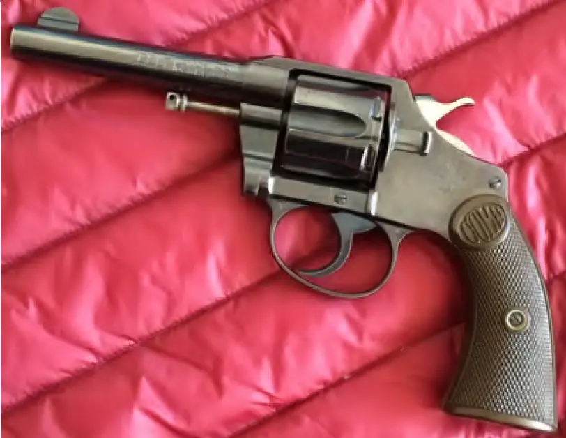 Colt New Police