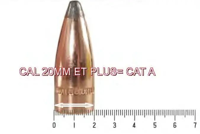 20 mm