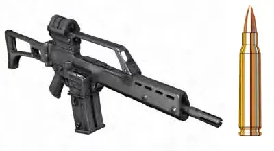 G36