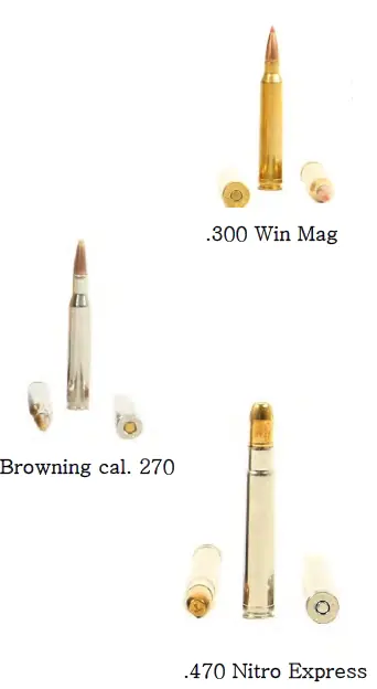 calibre 22 LR