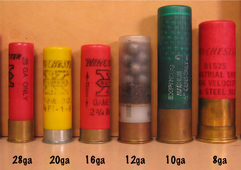 cartouches de chasse